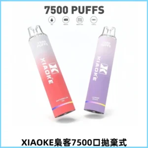 XIAOKE梟客7500Puffs跑馬燈拋棄式電子煙 可充電一次性